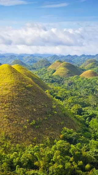 Classic Bohol Island 1-day tour: Chocolate Hills & tarsier & Loboc River cruise & church & forest