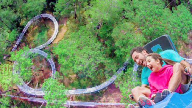 Da Lat to Nha Trang Scenic Transfer: Crazy House, Clay Tunnel & Datanla Alpine Coaster