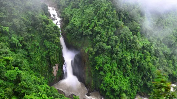 Featured tour starting at 6444 THB: Khao Yai National Park Trekking Tour: UNESCO Site, Haew Suwat & Haew Narok Waterfall