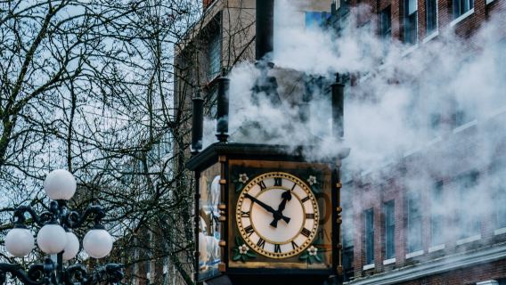 Lawatan Sehari Sewaan Peribadi di Bandar Vancouver: Taman Stanley - Gastown - Teluk English