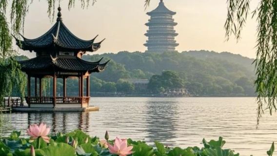 Servicio de coche privado con conductor personalizado en Hangzhou | Un grupo por reserva, sin viaje organizado