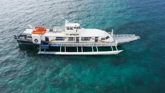One-way ferry ticket from Bohol to Oslob in the Philippines (hassle-free travel + visit gentle whale sharks)