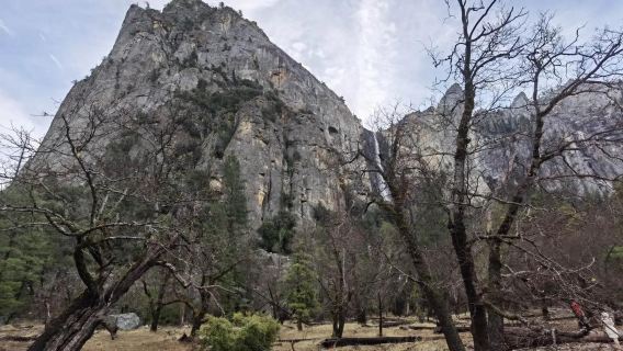 [Sewaan Peribadi 12 Jam di San Francisco, Amerika Syarikat] Taman Negara Yosemite (Tidak Termasuk Tiket Masuk)