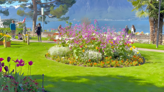 Lawatan sehari Geneva-Montreux-Ladang Anggur Lavaux-Lausanne dengan sewaan peribadi, itinerari boleh dilaras