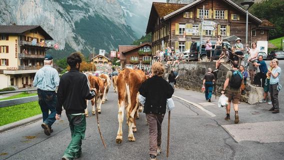 Hop-on Hop-off Zürich-Interlaken-Grindelwald-Lauterbrunnen