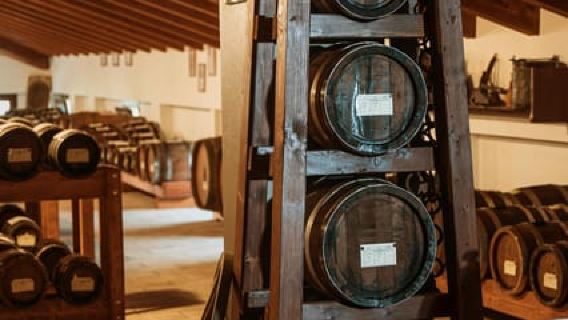 Modena: guided visit of the vinegar cellar and Balsamic Vinegar food tasting