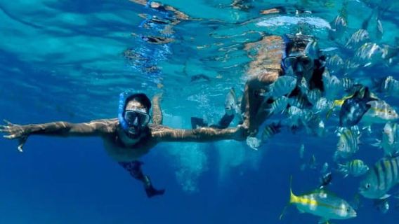 Puerto Morelos: Snorkeling at The National Reef Park