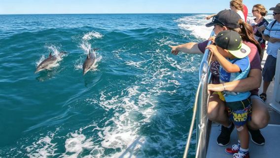 Auckland North Cape + Lawatan Penemuan Ikan Paus dan Lumba-lumba lawatan sehari Muzium Maritim Queen Street termasuk tiket pengangkutan