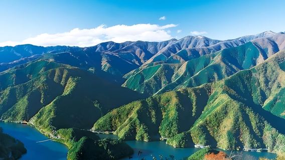 Tour di un giorno partendo da Tokyo | Scopri i segreti naturali di Okutama e Hinohara