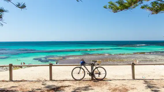 Rottnest Island Ferry Boat Ticket E-Ticket in Western Australia, Australia [One one-way or Round-trip trip options available from Perth/Fremantle]
