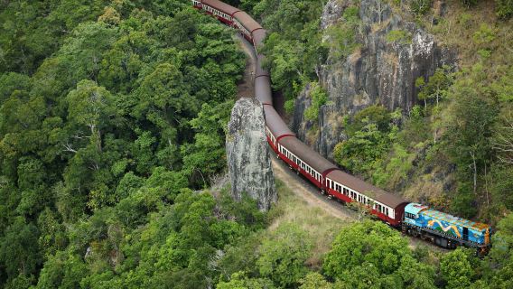 ทัวร์วันเดียว/ทัวร์หลายวัน เมืองป่าฝนคูรันดา + อุทยานธรรมชาติป่าฝนเขตร้อนในออสเตรเลีย