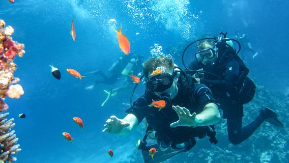 芽莊海釣+潛水+龍蝦BBQ+滑梯一日|自營潛水店+中文導遊