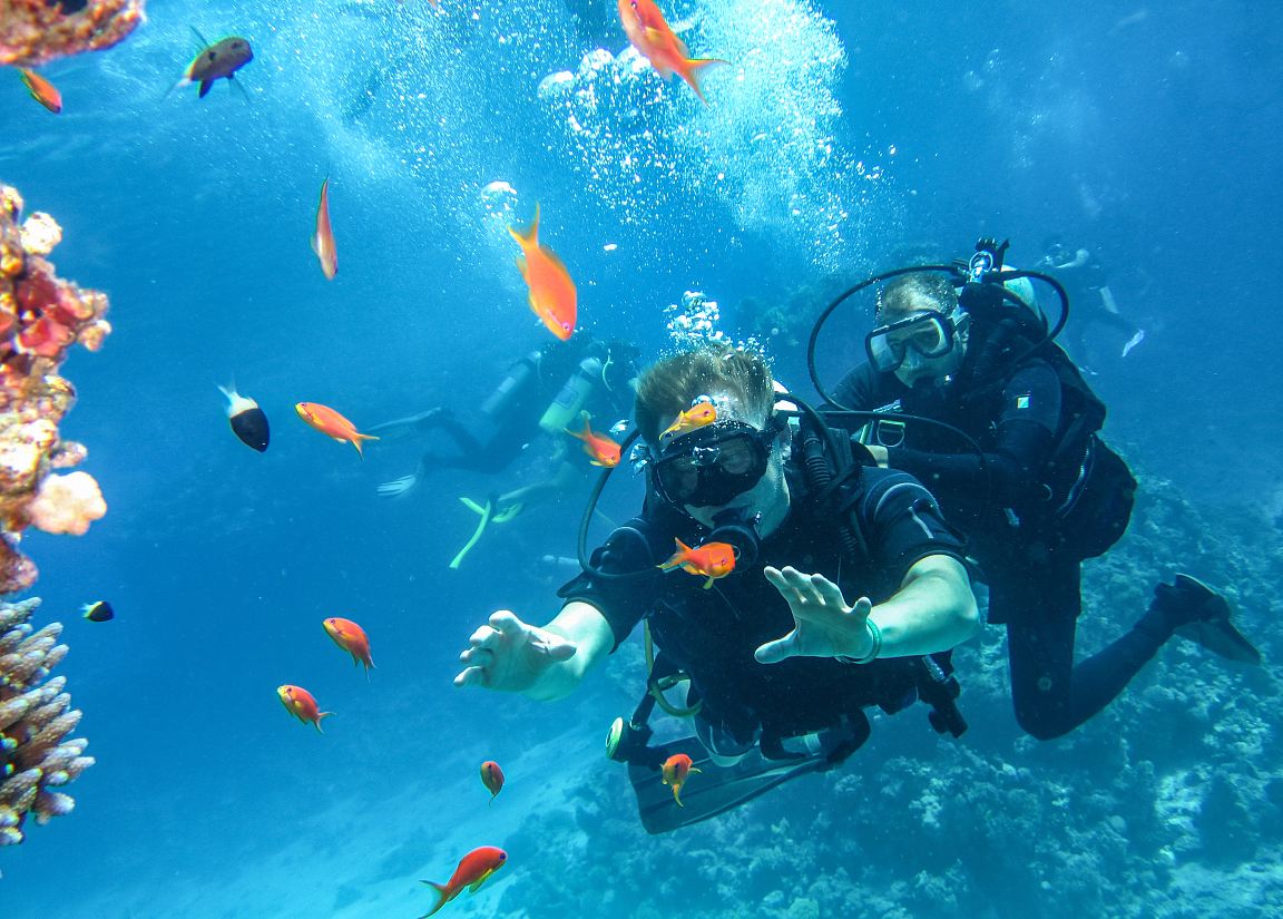 芽莊海釣＋潛水＋龍蝦BBQ＋滑梯一日|自營潛水店+中文導遊