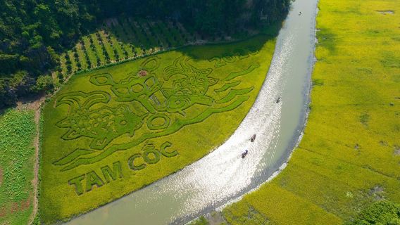 Luxury Hoa Lu, Tam Coc & Mua Cave 1 Day Tour - By Limousine & Small Group From Hanoi