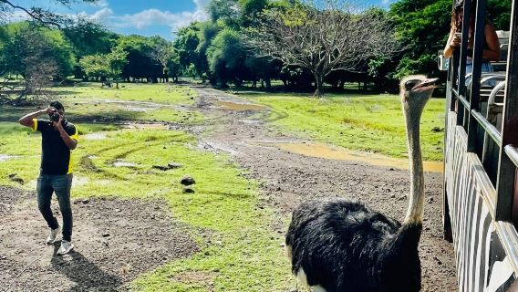 Mauritius Casela Natural Park CASELA + Western Sea and Land Tour Speedboating Dolphin