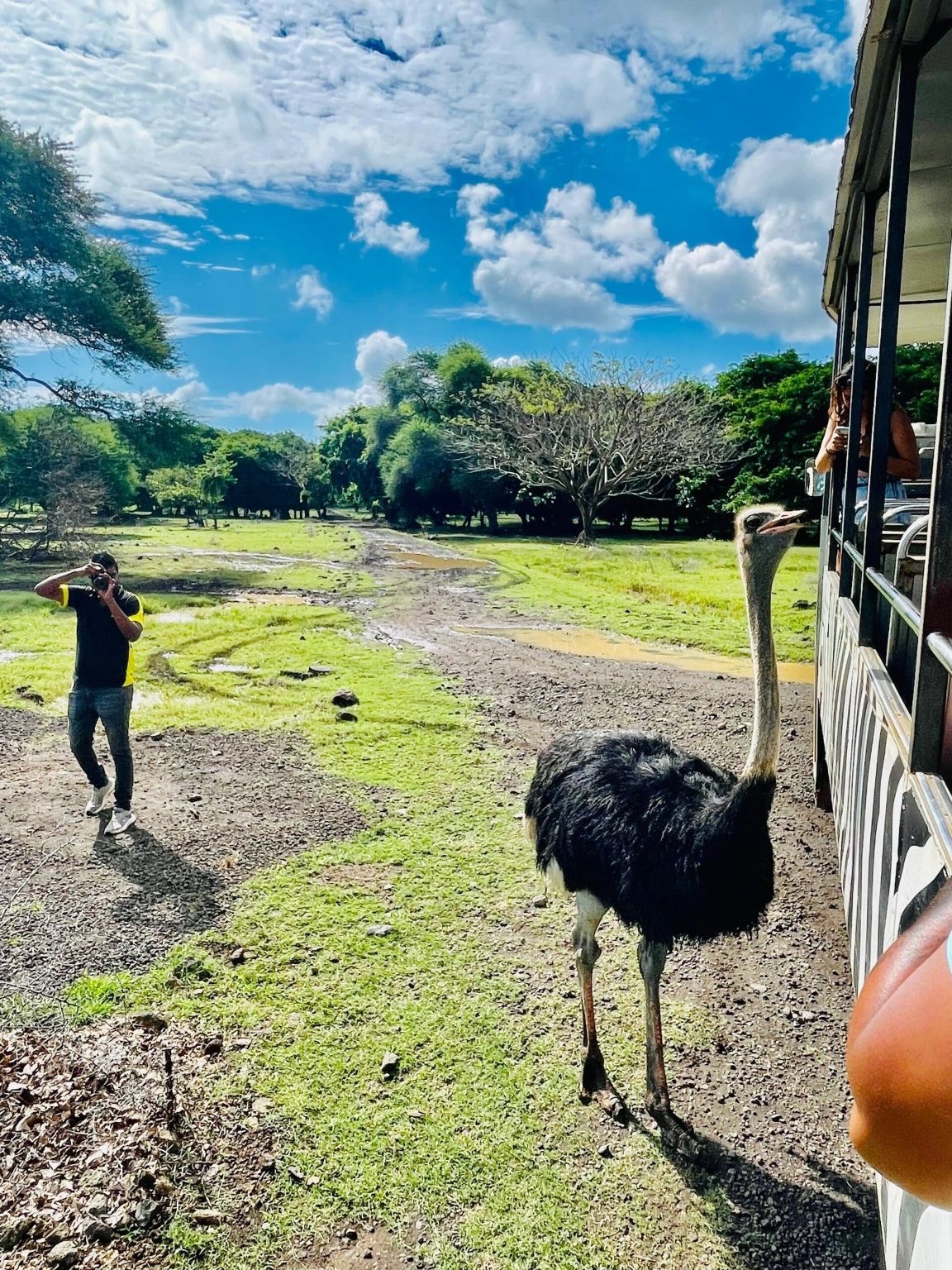 Mauritius Casela Nature Parks CASELA + Western Land and Sea Tour Speedboating Dolphin