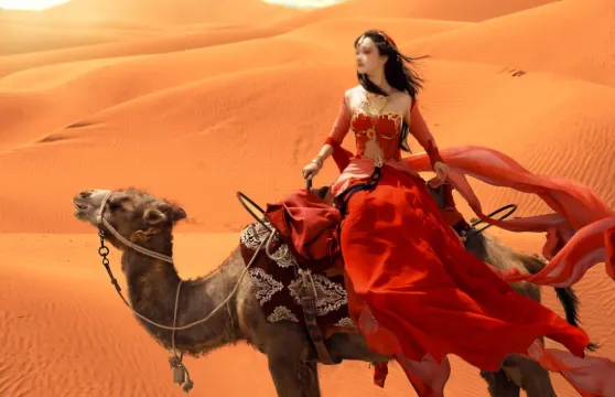 新疆喀什+達瓦昆沙漠旅遊風景區一日遊，私家團