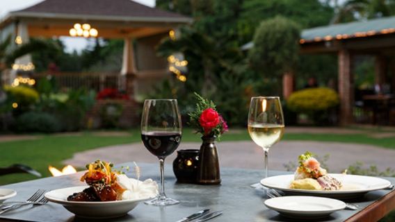 Manor House Experience