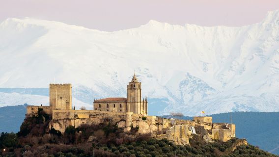 Fortress of La Mota: Fast Track Ticket