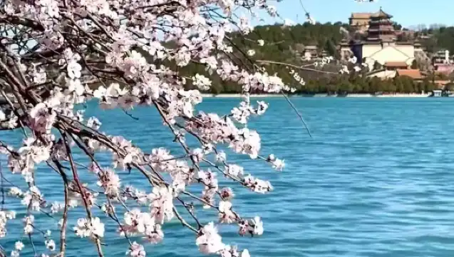 頤和園15人團親子研讀半日遊【蝸牛文旅|解鎖長廊趣味故事】