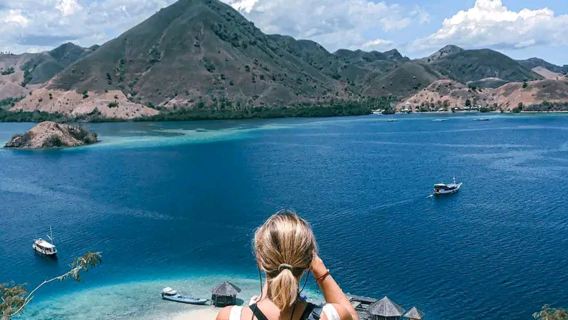 Tour de 1 día al mejor destino del dragón de Komodo endémico combinado con snorkel en Manta Point