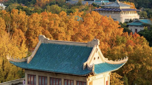 武漢大學半日遊[2小時人工深度精緻導覽＋獨立耳麥＋純玩＋私家團]