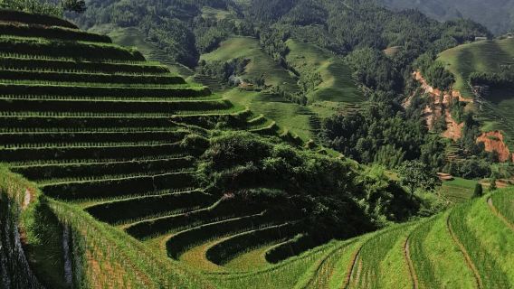 Guilin: Day tour of Longji Rice Terraces and short river cruise with the small boat
