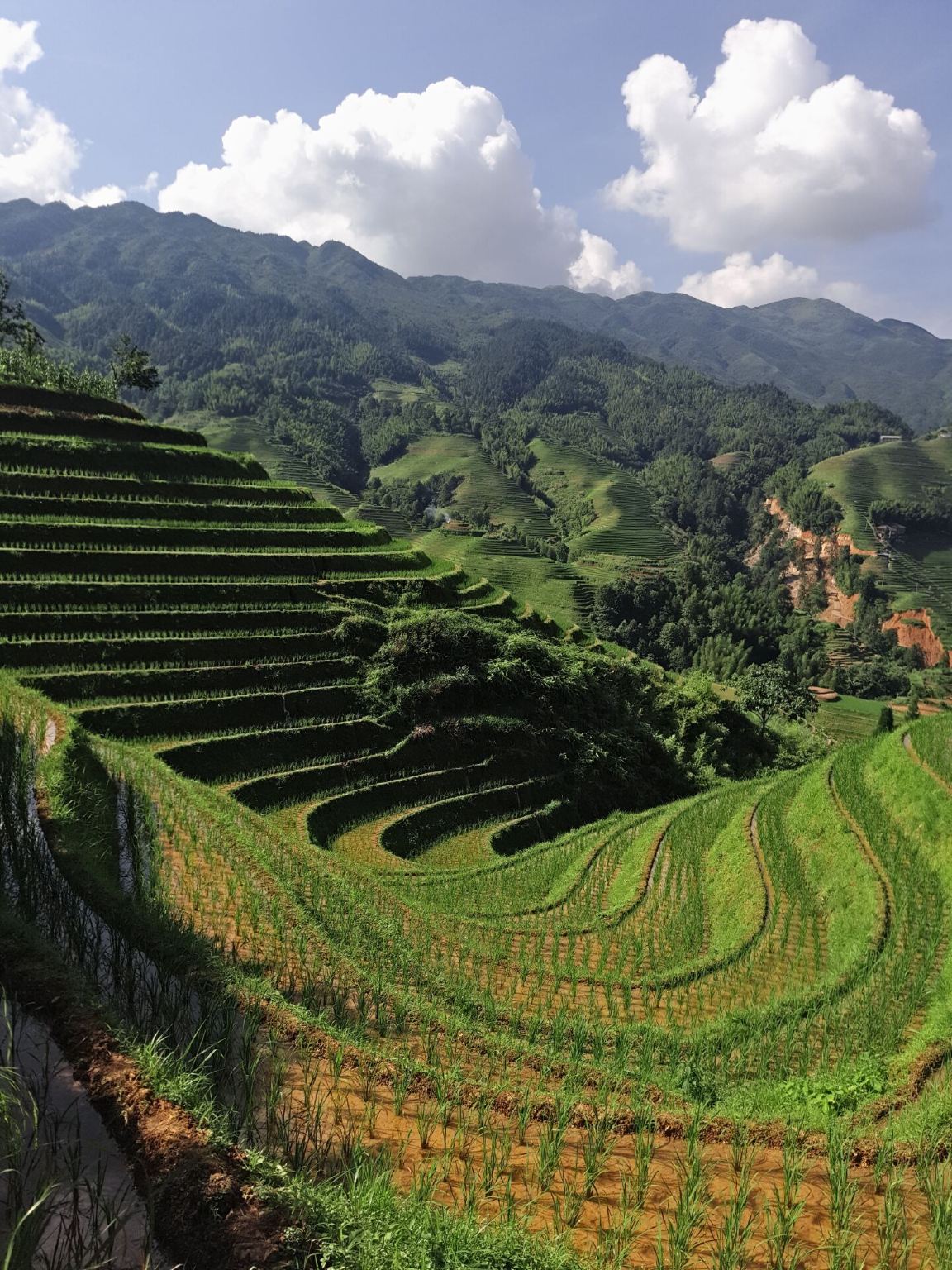 Guilin: Day tour of Longji Rice Terraces and short river cruise with the small boat