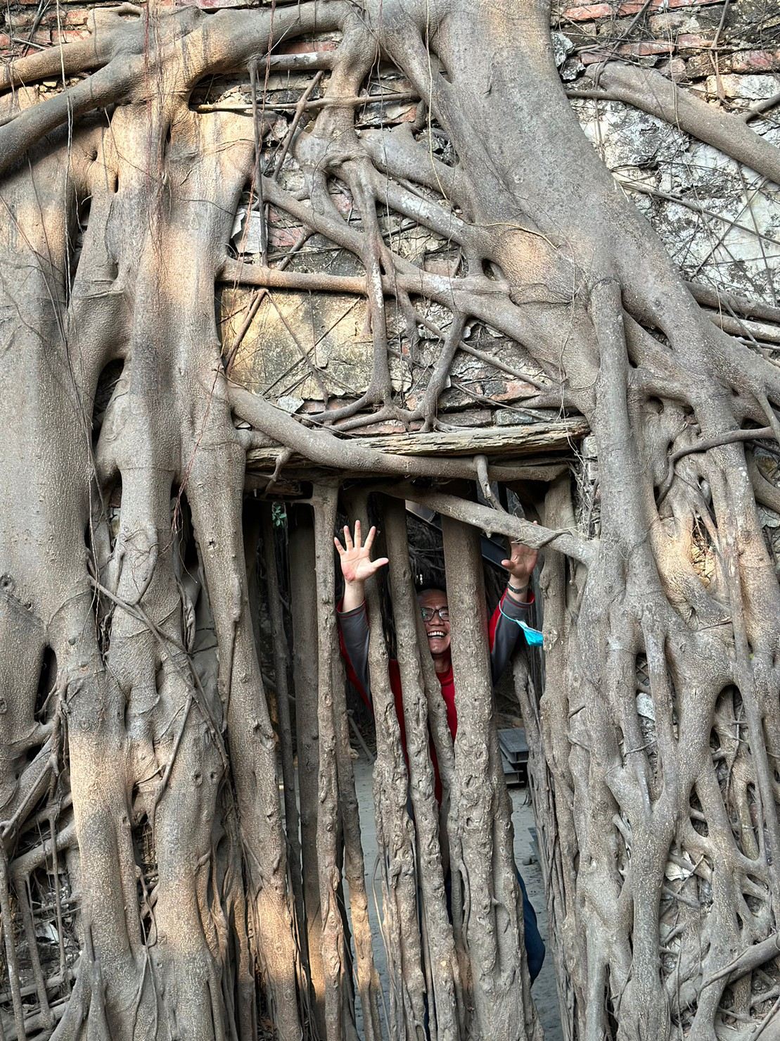 대만 타이난 일일투어 (가오슝 출발/한국어 가이드)