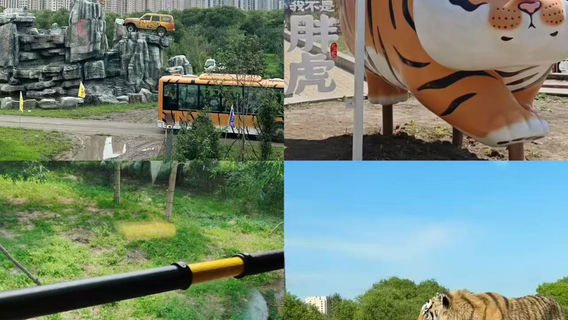 哈爾濱日遊