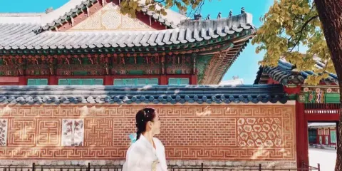 首爾塔+星空圖書+南山公園+弘益大學一日遊【包車遊】