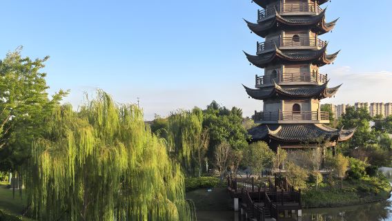 Yancheng 1-day Tour: Chinese Milu Park + Huanghai Forest Park + Holland Flower Park (English Service Available)