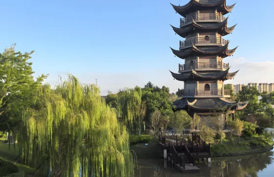 江蘇鹽城中華麋鹿園+黃海森林公園+荷蘭花海一日遊可中英文服務