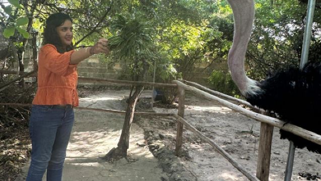 Zanzibar Nungwi zoo experience tour with transfer