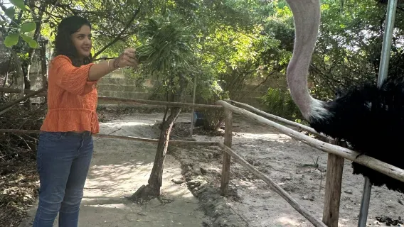 Zanzibar Nungwi zoo experience tour with transfer