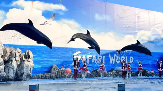 曼谷野生動物世界一日遊丨專車入園丨含野生動物園及海洋世界門票