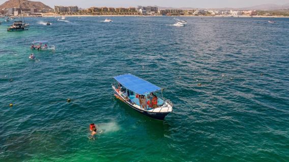 Los Cabos: Recorrido por el Arco con Impresionantes Vistas Naturales