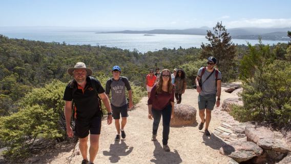 From Launceston: Full-Day Wineglass Bay Explorer Active Tour