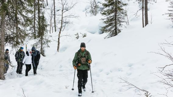 From Rovaniemi: Korouoma Canyon and Frozen Waterfalls Tour