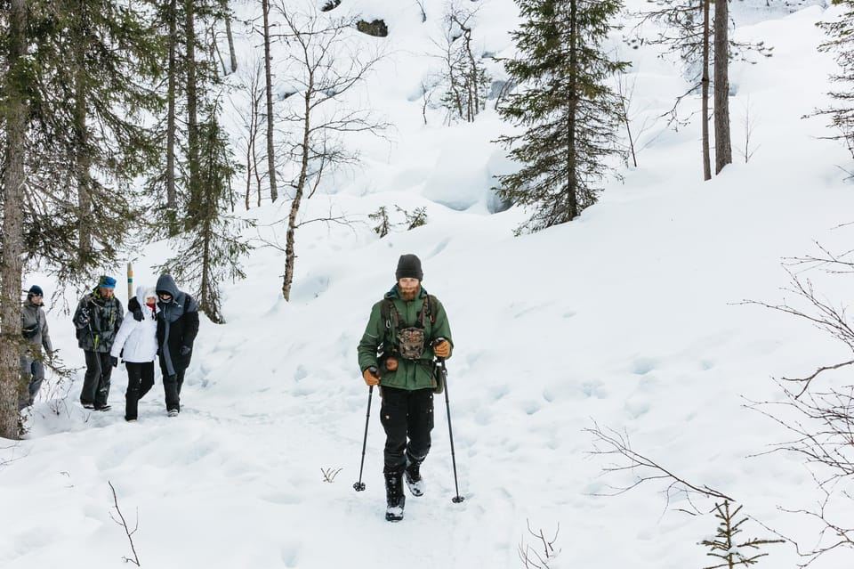 From Rovaniemi: Korouoma Canyon and Frozen Waterfalls Tour