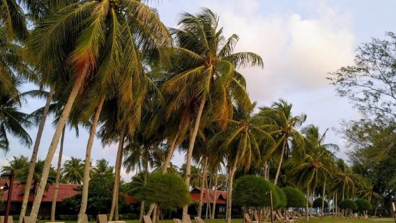 Reservar después de consultar/Servicio de transporte punto a punto en Langkawi, Malasia: Playa Cenang, Seven Wells Waterfall, Puente del Cielo, Playa de Arena Negra/Aeropuerto/Guía turístico con conductor/Servicio de vehículo privado