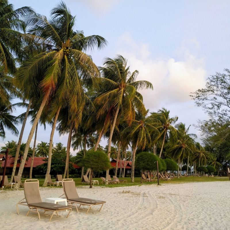 Ordina dopo la consultazione/Trasporto punto a punto a Langkawi, Malesia (Pantai Cenang, Seven Wells Waterfall, Ponte nel Cielo, Pantai Pasir Hitam)/Aeroporto/Servizio di autista-guida turistica/Trasporto privato