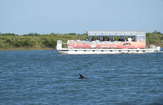 Saint Augustine: Petualangan Ekologi Lumba-Lumba & Satwa Liar Dipandu Ahli