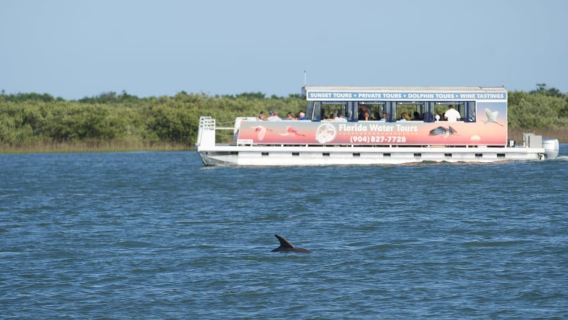 St. Augustine: Expert-Led Dolphin & Wildlife Eco Adventure
