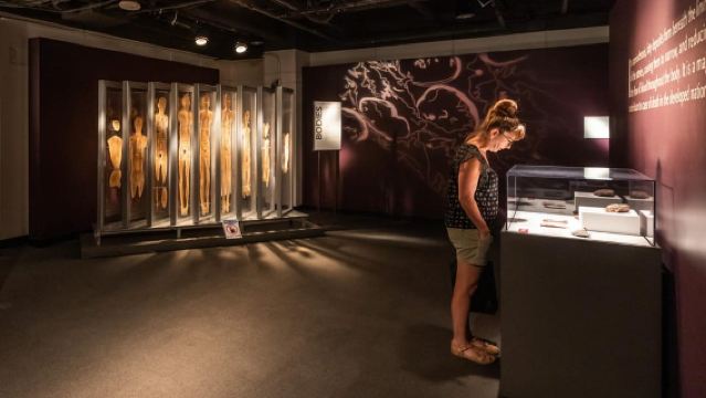 ลาสเวกัส: BODIES|นิทรรศการที่ Luxor