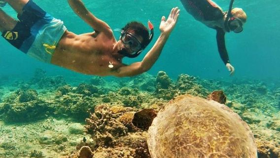 Circle Island: nuota con le tartarughe ed esplora il paradiso di Oahu