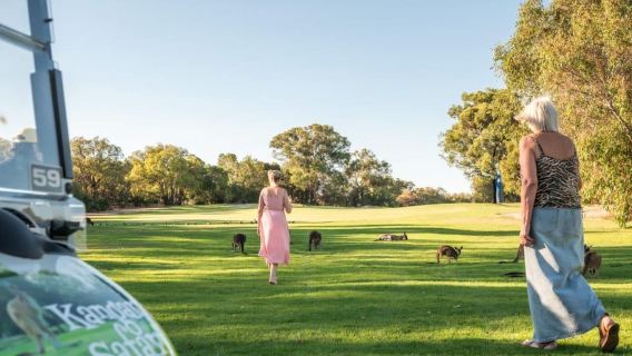 Swan Valley: Golf Cart Kangaroo Safari w/ Mini Golf & Drink