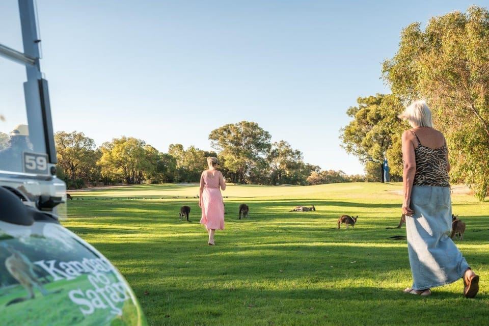 Swan Valley: Safari de canguros en carrito de golf con minigolf y bebida