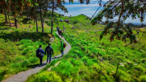 Temukan Haugesund dan kunjungi petani gunung setempat