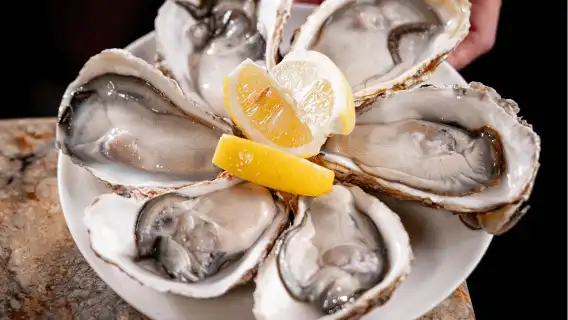 JW Marriott Hotel Shenzhen (Buffet Lunch/Buffet Dinner)